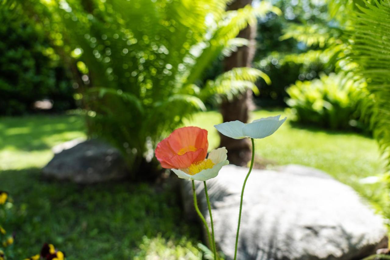 Flow Apartments Winkel Atelier เมราโน ภายนอก รูปภาพ